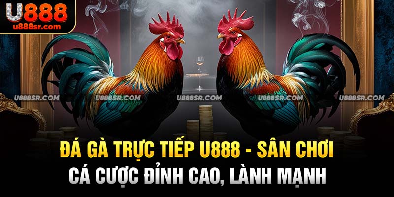 Đá Gà Trực Tiếp U888 - Sân Chơi Cá Cược Đỉnh Cao, Lành Mạnh