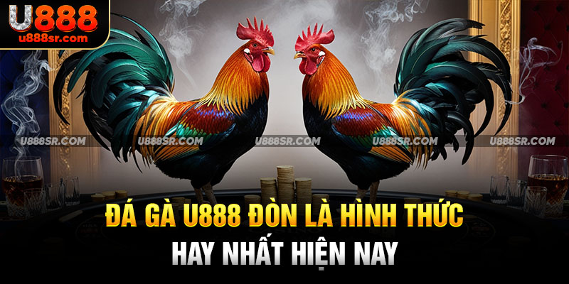 Đá gà U888 đòn là hình thức hay nhất hiện nay